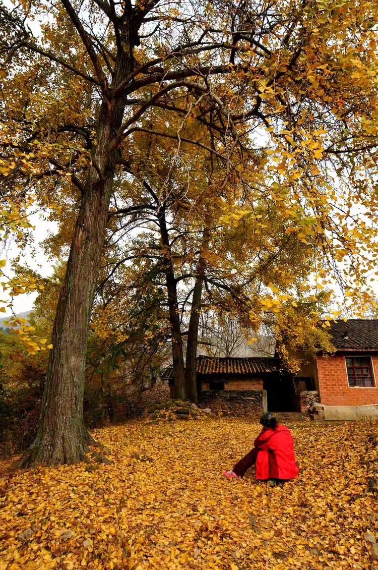 秋天的童话影评