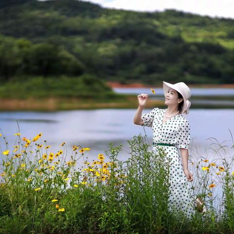 夏日情怀