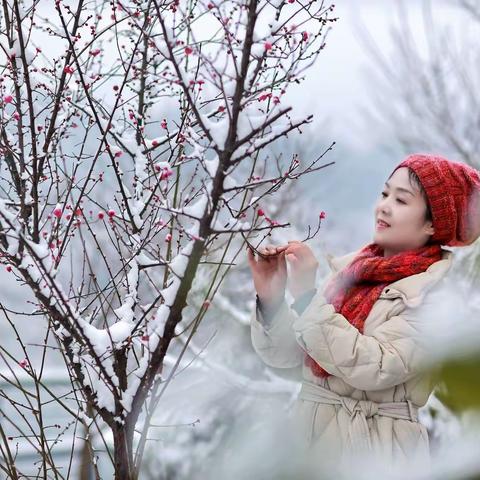 雪落成诗尽芳华