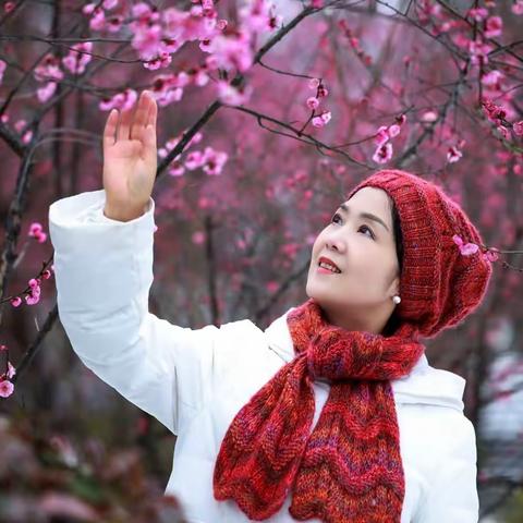 梅花独放 — 生命的美丽与力量