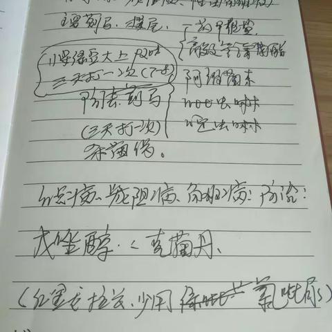 芒果技术防治方法。