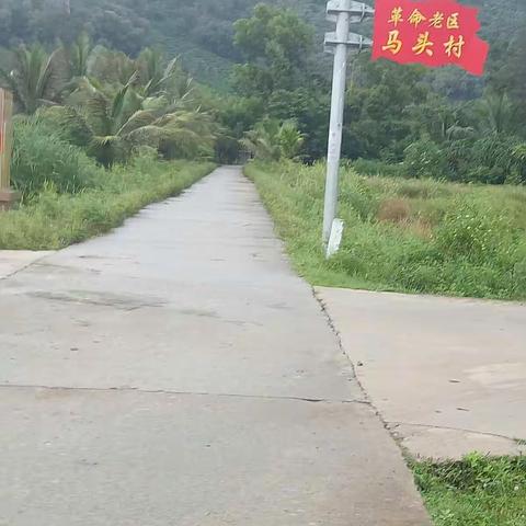 乡村风貌。