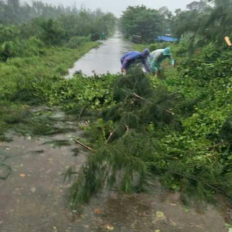 风后巡查。