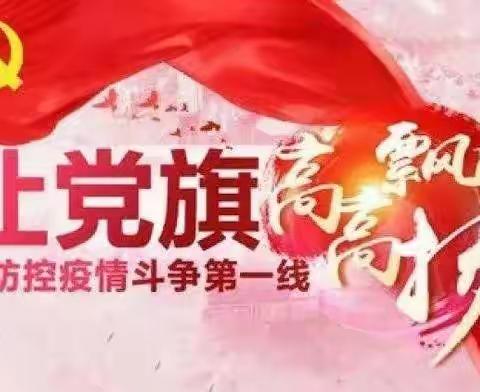 党旗在抗“疫”一线高高飘扬