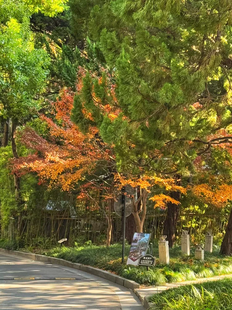 信阳枫叶园林景观的简单介绍 信阳枫叶园林景观的简单

先容
（信阳市枫叶园林有限公司） 园林景观