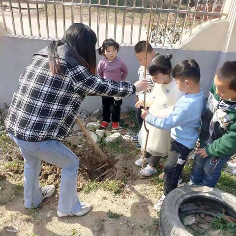 春和景明，万物萌动。在这欣欣向荣，生机勃勃的春日里，谢集中心幼儿园的全体师生组织了植树活动。