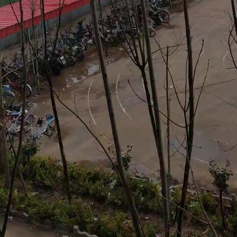 细雨中的校园生活