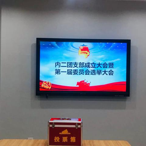 丽水市中心医院内二团支部成立暨第一届委员会选举大会