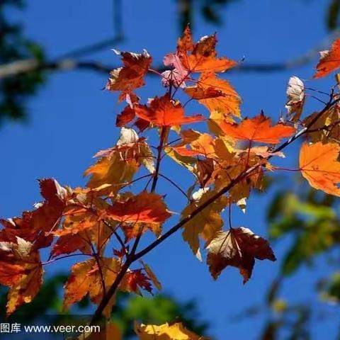 快乐出游 拥抱秋天🍂