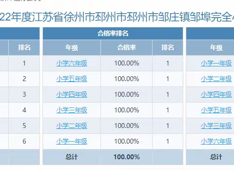 邹庄镇邹埠小学2022年体育健康检测完满完成