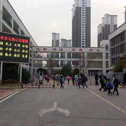 附小北校跟岗学习心得