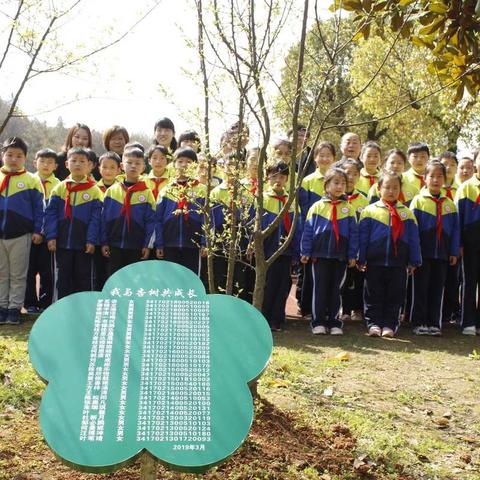 杏花村小学开展第七届“我与杏树共成长  朵朵杏花竞风采”活动🌸🌸