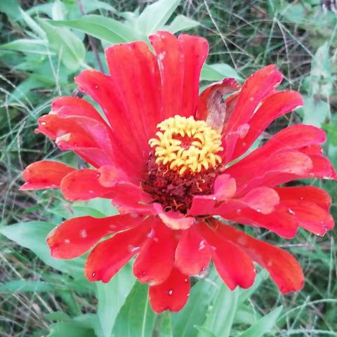 人约黄昏后（一）