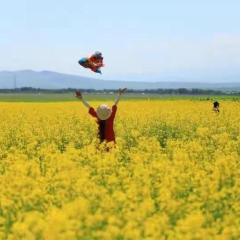 大漠之行第五天：伊昭公路一一八卦城一一赛克草原一一唐布拉百里画廊一一哈萨克家庭作客