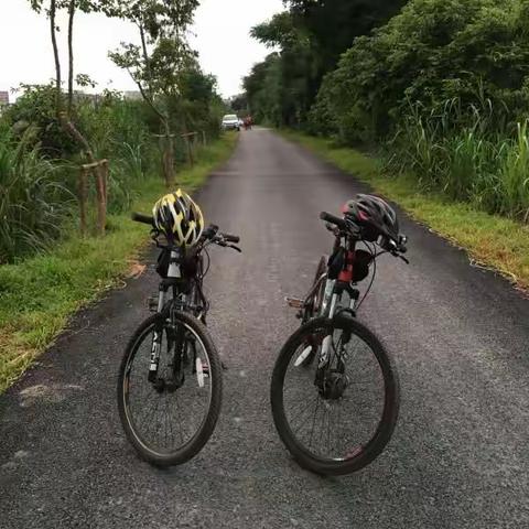 人约黄昏后（二）