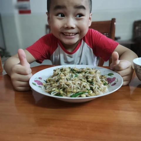 暑假科学实践——德卫给豆芽的春天