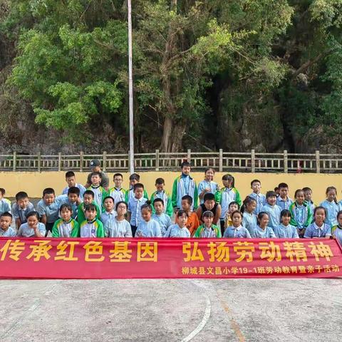 ＂传承红色基因，弘扬劳动精神＂柳城县文昌小学19-1班劳动实践教育暨亲子活动