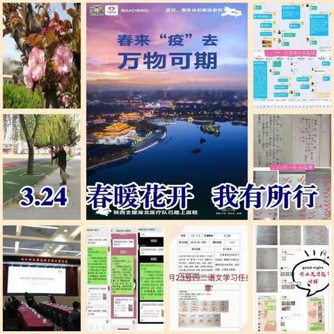 “停课不停学”三兆小学在行动——学生劳动篇（十一）