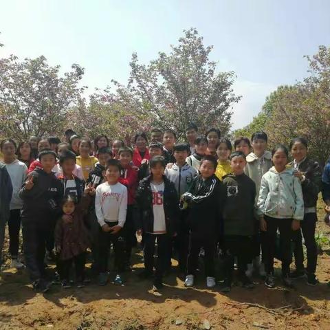 陪伴是最长情的告白——平江县思源实验学校田径队小学部2019年4月5日亲子活动