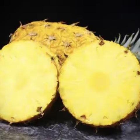 《认识“凤梨”》