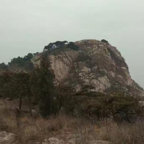 惊险刺激虎头崖——天基二小三年级十四班百灵中队寒假活动纪实