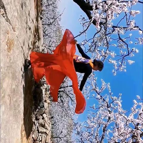 杏园魅影