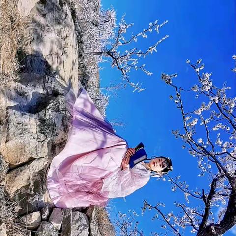 杏林人像