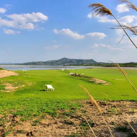 美景如画——美丽的云蒙湖大草原