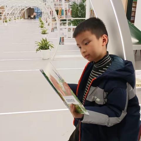 🌷🌷《三字经》全本🌷🌷