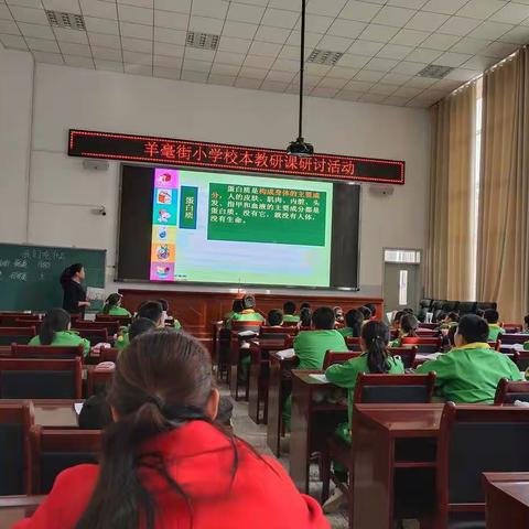 从落实课标入手   向专业高度奋进——综合组研课记