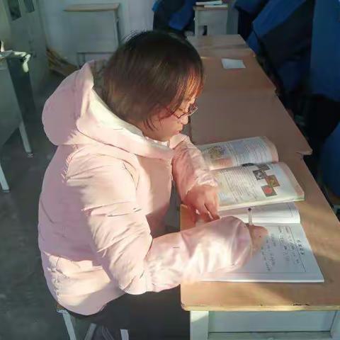 我的顶岗故事