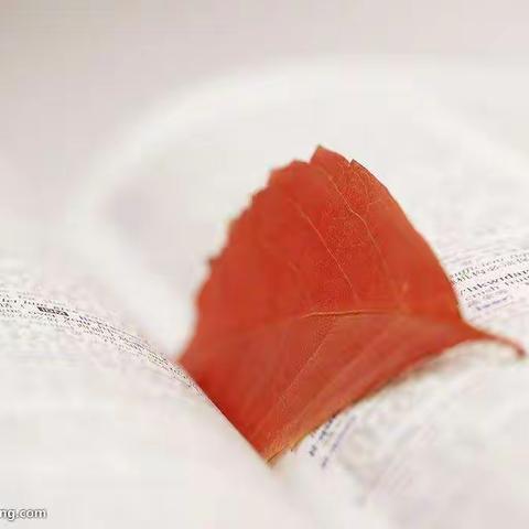 一小学青年教师第二期活动