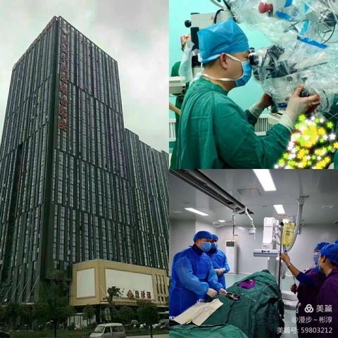 1例隐匿型脉络膜前动脉起始部微小动脉瘤的介入治疗。(悬停技术的应用)