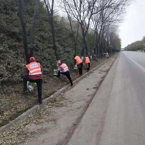扶风公路段全面开展路容整治工作