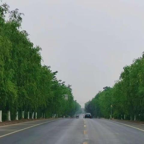 扶风公路段日常养护工作掠影