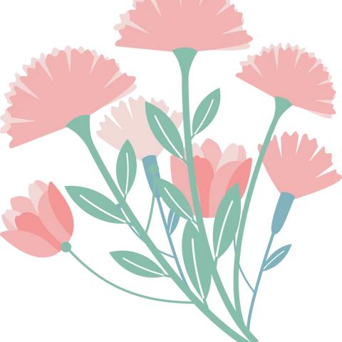 展优质课堂 亮教师风采﻿——记罗镜镇中心小学驸台教学点2022秋片区青年教师优质课活动