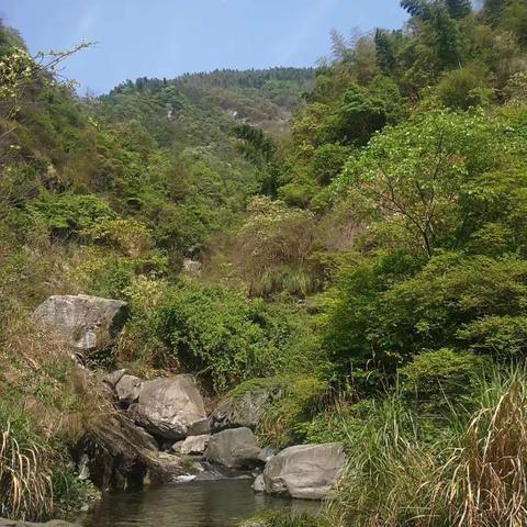 回味香山