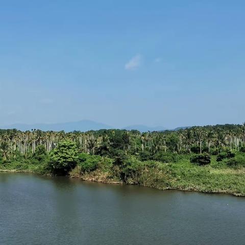 甘肃陇南456俱乐部八人组环海南岛纪实（东线篇）