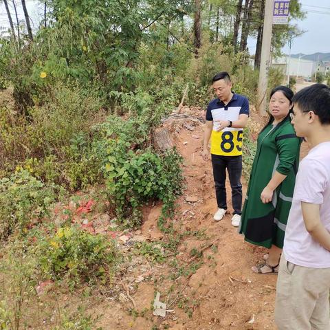 高家岭镇新农村建设暨人居环境整治工作周报