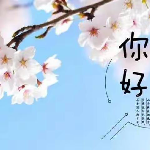 大二班四月份成长相册🌸