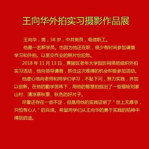 王向华外拍实习摄影作品展