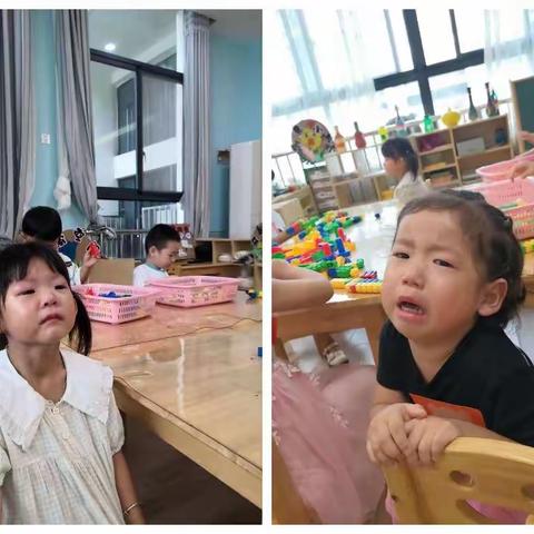 相见初秋，“幼”见美好—三府幼儿园前门路分园小二班开学生活集锦