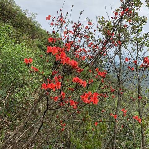 九龙山越野行