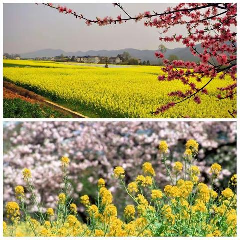 安全“童”行——警钟长鸣防火防震。——黄木完小，防震、防火安全演练