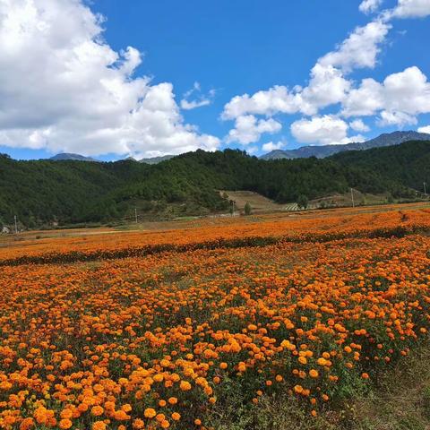 (●黄木完小●)假期安全、防溺水安全、兰坪县教育资助政策明白卡主题家长会——家校同心协力，共度平安假期