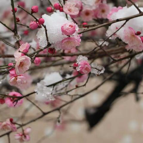 2022年第一场雪