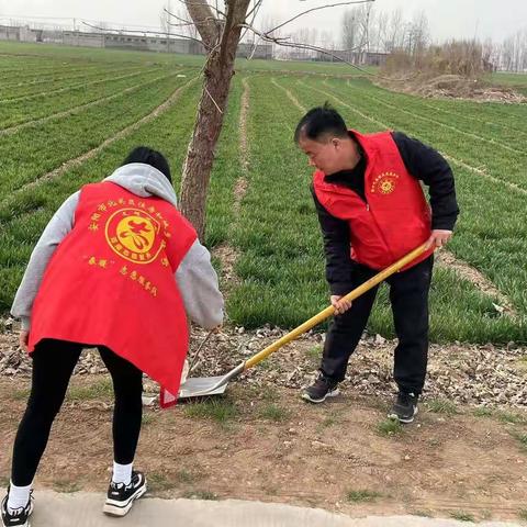 助力乡村振兴  改善人居环境