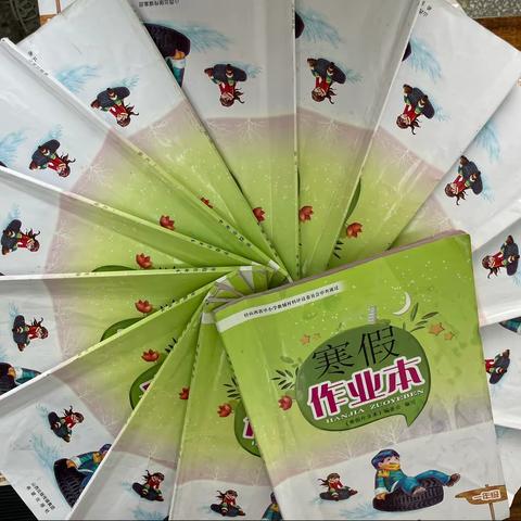 丰富多彩寒假生活 特色纷呈成果展示——桐城中心校东吴小学