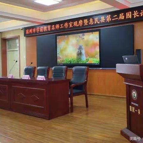 惠民幼教集团名师工作室自主游戏观摩活动