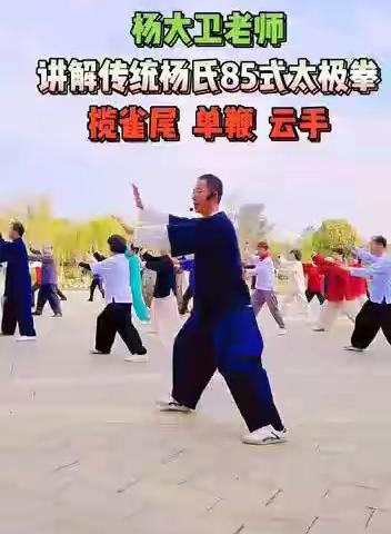 下载了杨大卫的几个视频